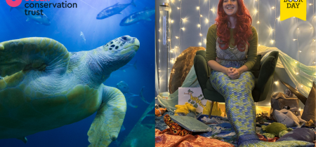 Ocean Conservation Trust - World Book Day Virtual Mermaid Story