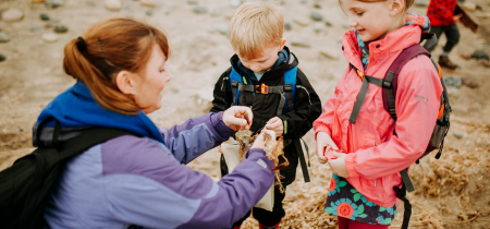 Shark Egg Case Hunts at Flamborough Living Seas Centre