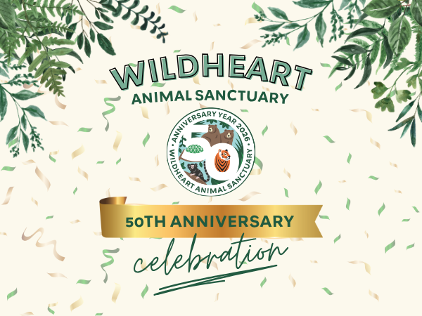 50th Anniversary Celebration