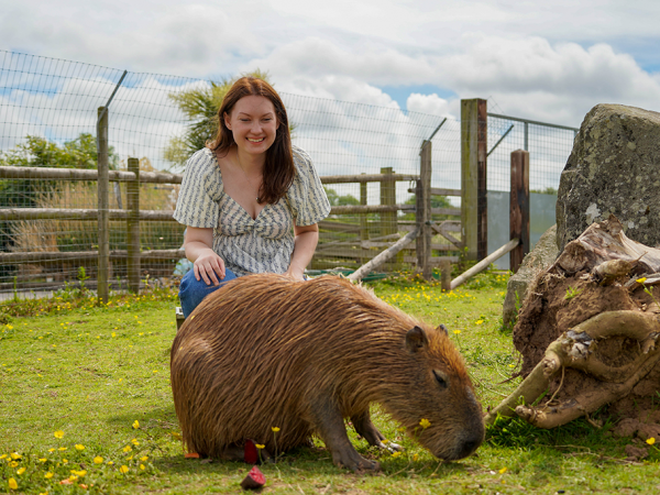 Capybara - Mini Encounters