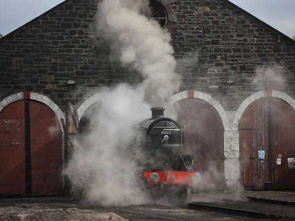 Shed Tours - Prebooked Only