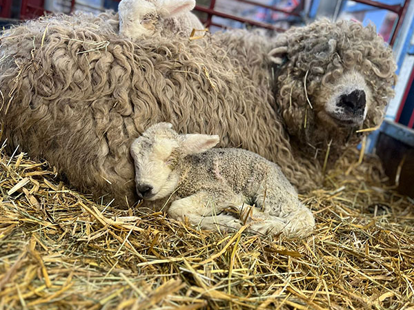 PLAY Admission School Holidays