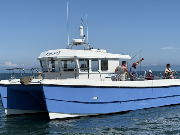 Mackerel Fishing - 1.5 Hr