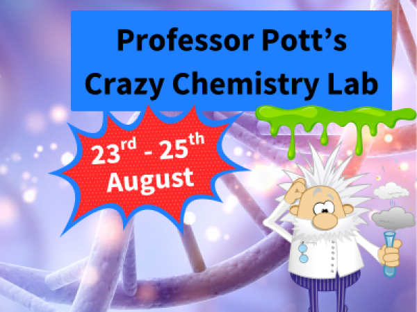 Professor Pott's Crazy Chemistry Lab