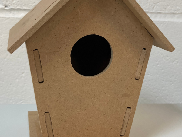 Bird Box Craft