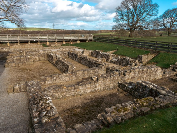 Binchester Roman Fort Guided Tours
