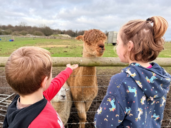 Day Admission including Halloween Half-Term (Excluding 30th October)