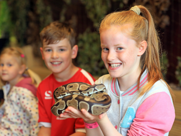 Educational Group Visit - 2027