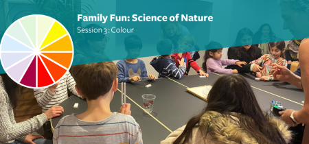 Family Fun: Science of Nature (Colour)