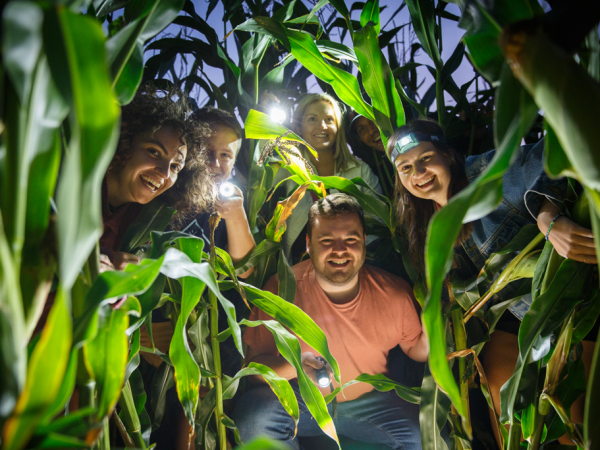 Maize Maze Torchlight Nights 2025