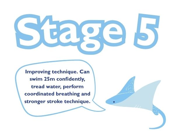 Stage 5