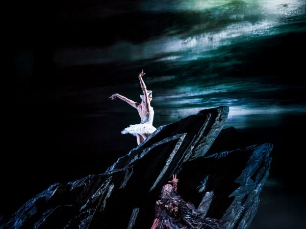 RBO: Swan Lake