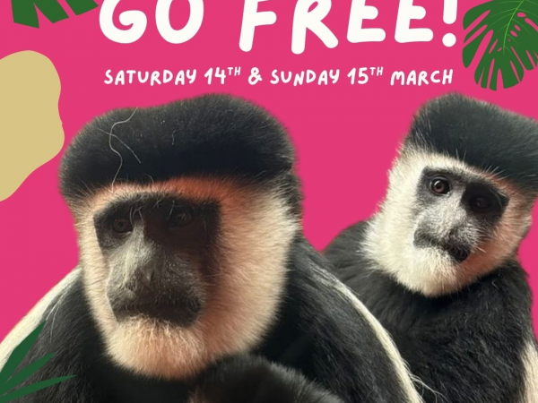 Mother's Day Weekend