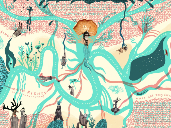 More-Than-Human Rights: Towards a Flourishing Earth