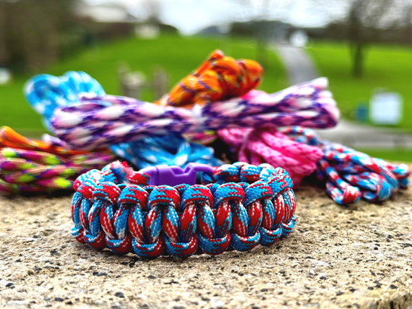 Friendship Bracelets