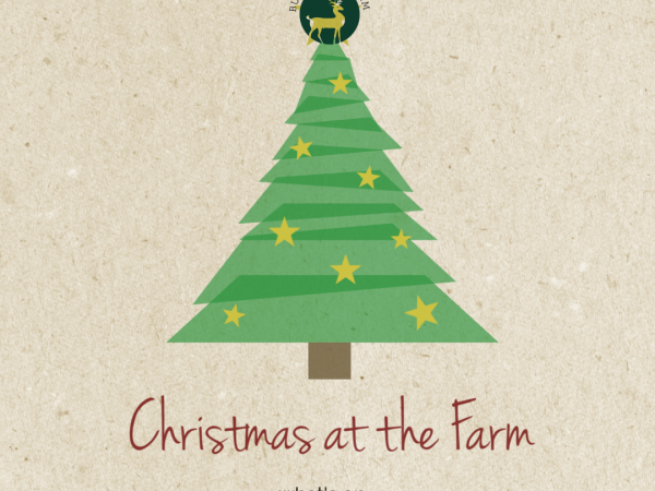 Evening of Christmas Festivities Tickets or invite needed.