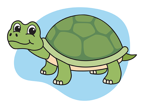 Tortoise Encounters 2025