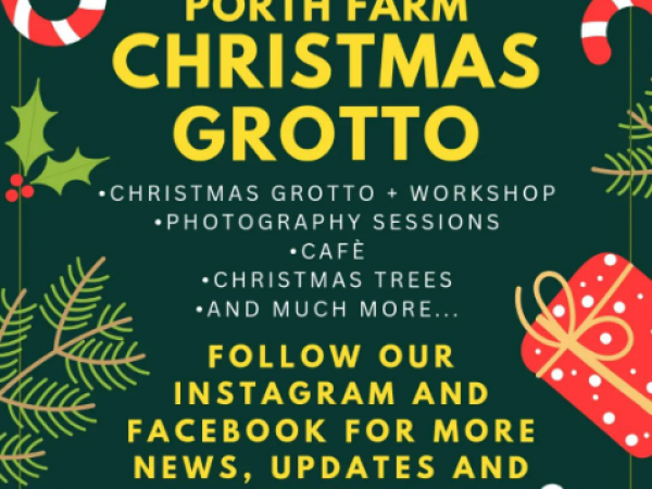 Christmas Grotto Children's Tickets