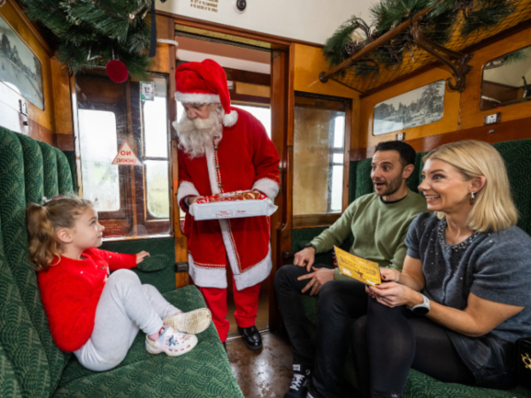 The Elf Express