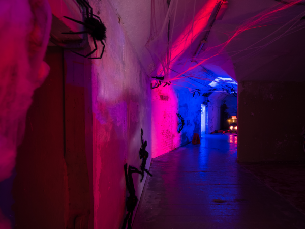 Spike Island Spookfest Trail 2025