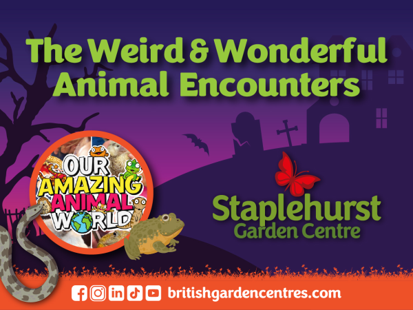 Staplehurst Weird & Wonderful Animal Encounters