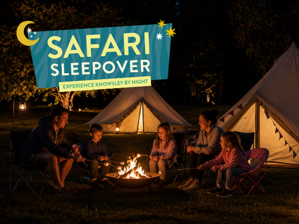 Safari Sleepover