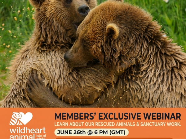 Members' Webinar - Benji and Balu