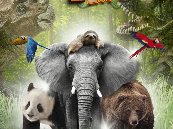 Wild2Life Evening Event