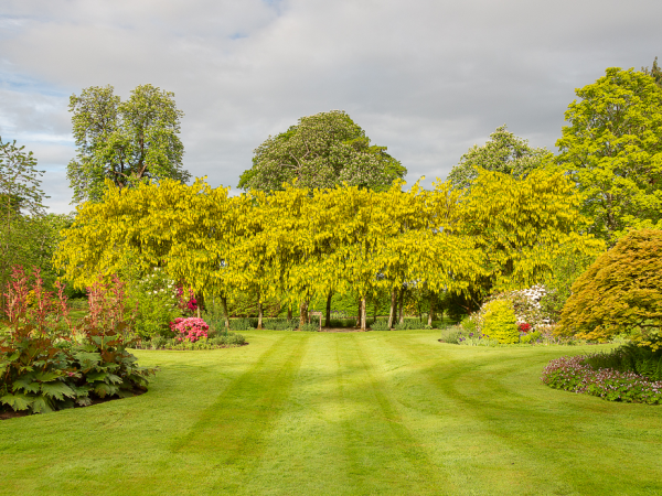 Admissions Gardens Only 2026 (25 June - 1 September 2026)