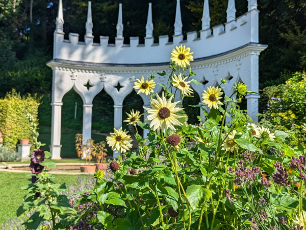 Summer Saving Tickets 25 June - 1 September