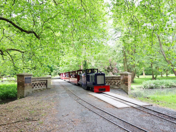 Woodland Adventure Days - 21st March - 4th October