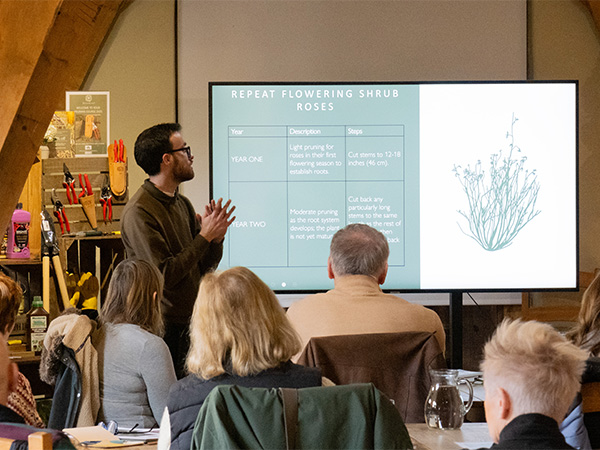 David Austin Rose Event