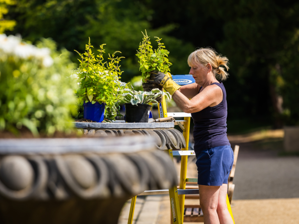 Garden Volunteer Recruitment Day