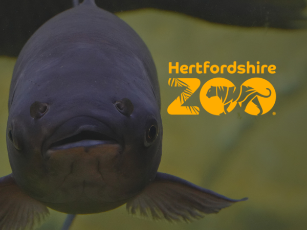 BIAZA Conservation Education Conference