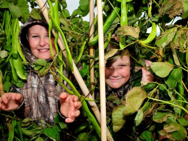 Farm/Garden Workshop - Autumn/Winter 2025