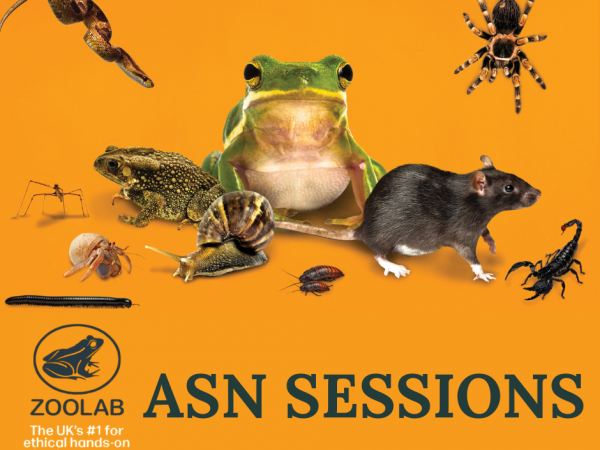 ASN: ZooLab @ The Buffalo Farm