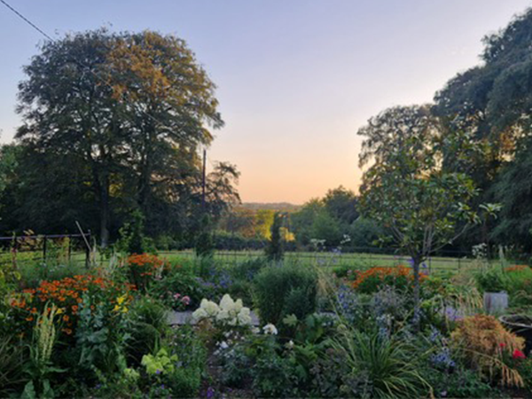 Future Gardens – What to grow in a changing climate with Des Doyle