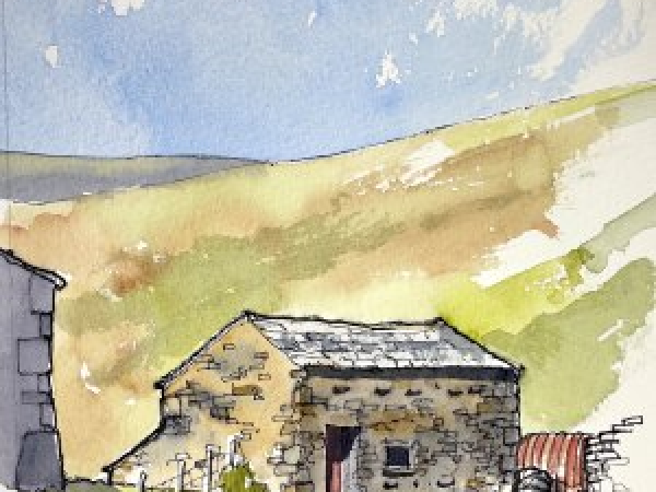 Line Drawing & Watercolour Workshop with John Harrison