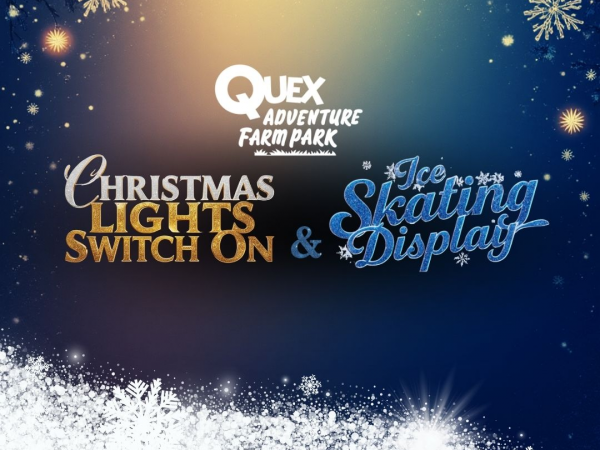 Quex Christmas Lights Switch On