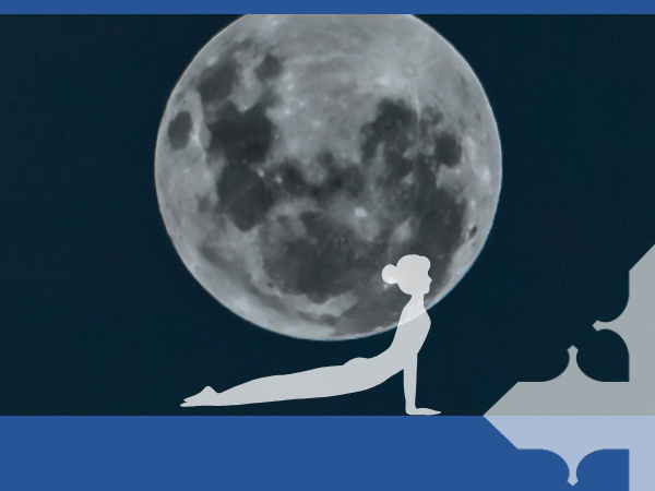 Weekday Yoga