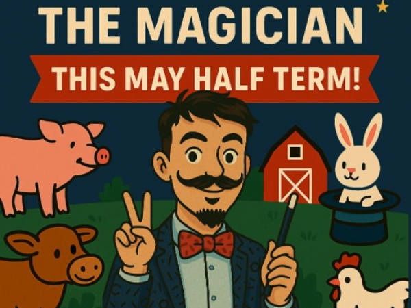 MERLINS MAGIC SHOW