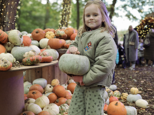 Halloween Special Audley End Enchanted Railway