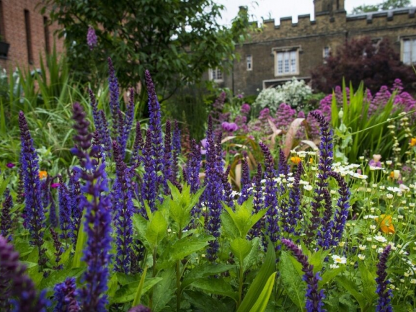 Autumn Garden Tour