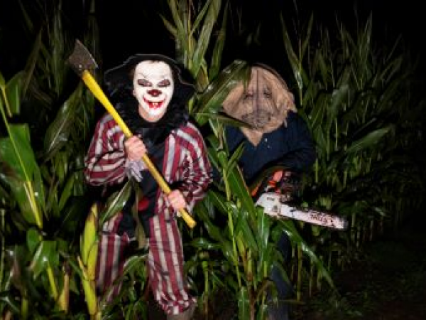 Scare Night