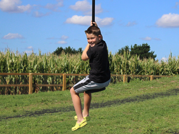 Summer Maize Maze DAY TICKET (includes Play Park & Pedal Go-Karts)