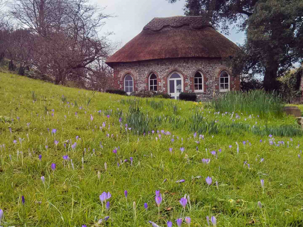 'Tea with Susannah', Wednesday 10th June 2026