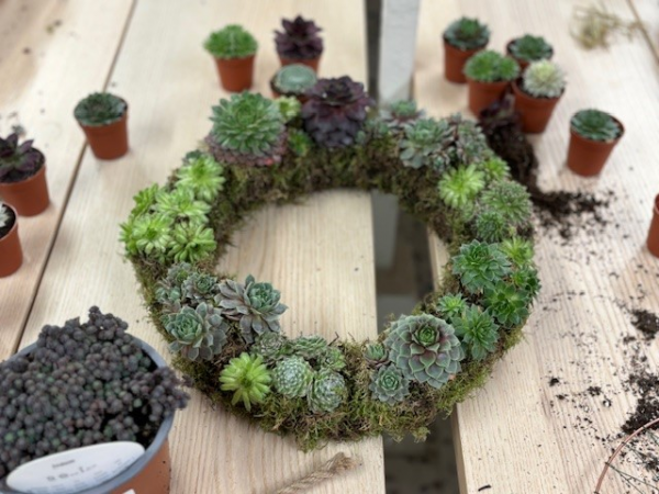 Living Succulent Wreaths Workshop, Yarnton