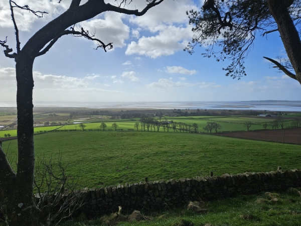 Walk Up Wardlaw