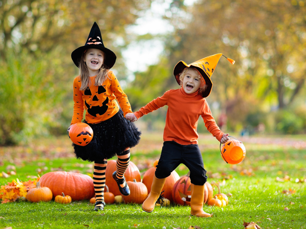 Halloween Trail at Bridgemere Show Gardens