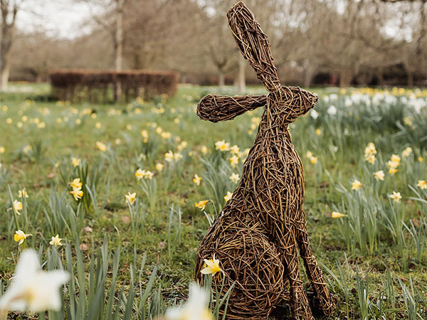 Hare Willow Weaving with Emma Stothard 2026